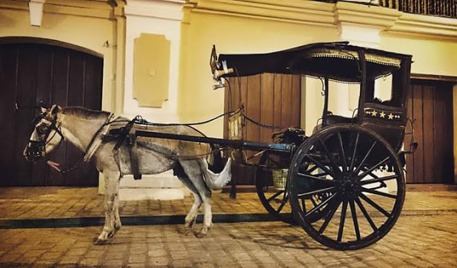 This image has an empty alt attribute; its file name is Calle%2BCrisologo.jpg